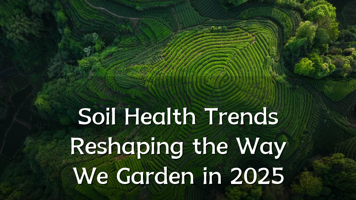 Soil Health Trends Reshaping the Way We Garden in 2025