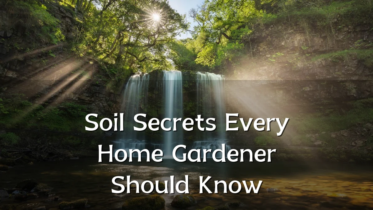 Soil Secrets Every Home Gardener Should Know