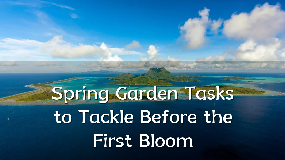 Spring Garden Tasks to Tackle Before the First Bloom