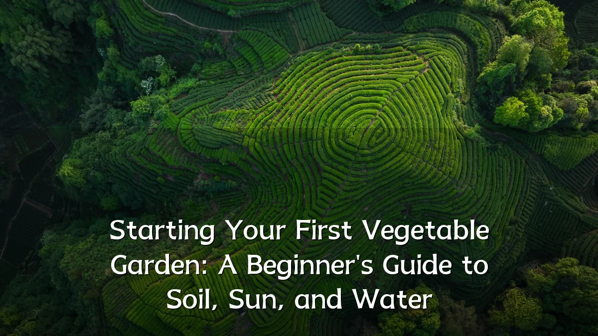 Starting Your First Vegetable Garden: A Beginner's Guide to Soil, Sun, and Water