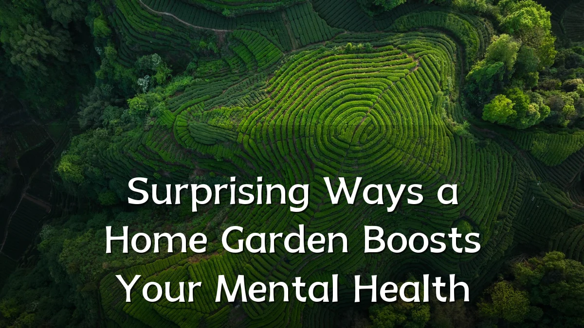 Surprising Ways a Home Garden Boosts Your Mental Health
