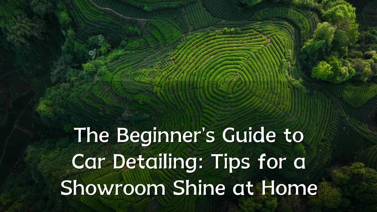The Beginner's Guide to Car Detailing: Tips for a Showroom Shine at Home