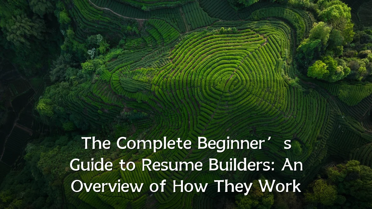 The Complete Beginner’s Guide to Resume Builders: An Overview of How They Work