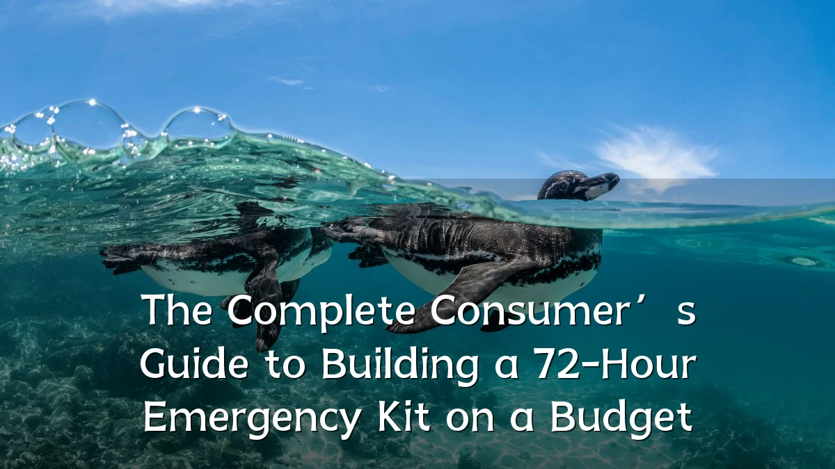 The Complete Consumer’s Guide to Building a 72-Hour Emergency Kit on a Budget