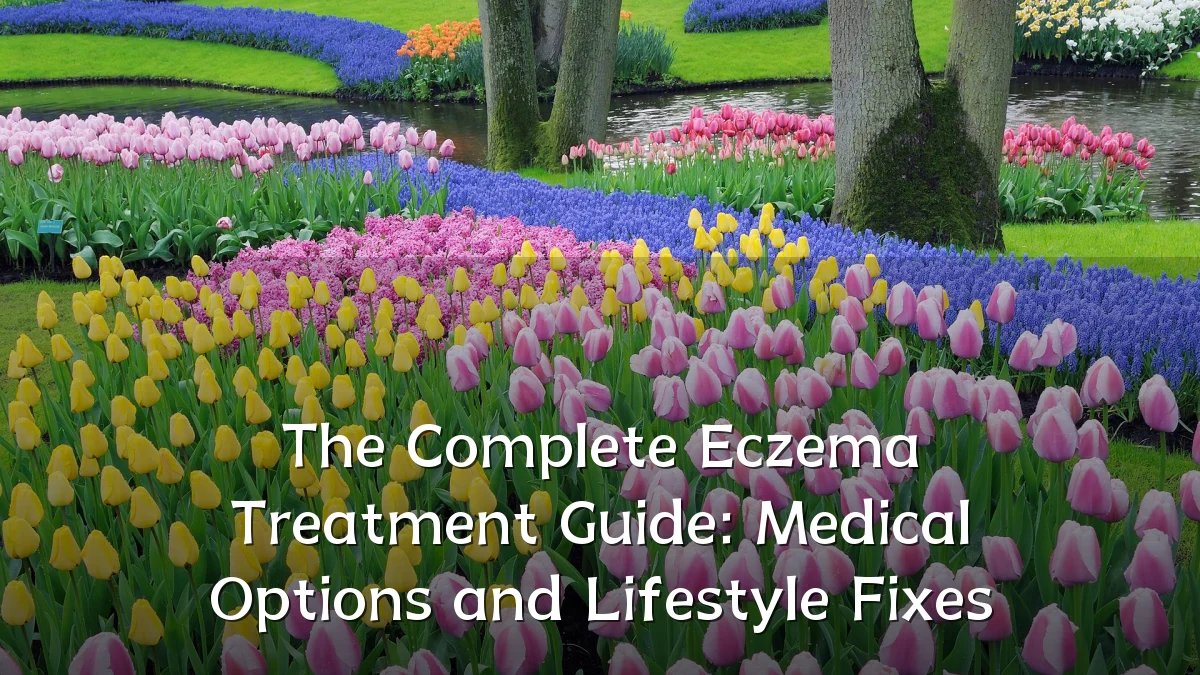 The Complete Eczema Treatment Guide: Medical Options and Lifestyle Fixes