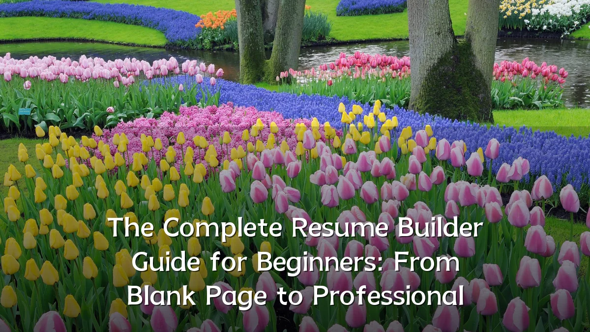 The Complete Resume Builder Guide for Beginners: From Blank Page to Professional