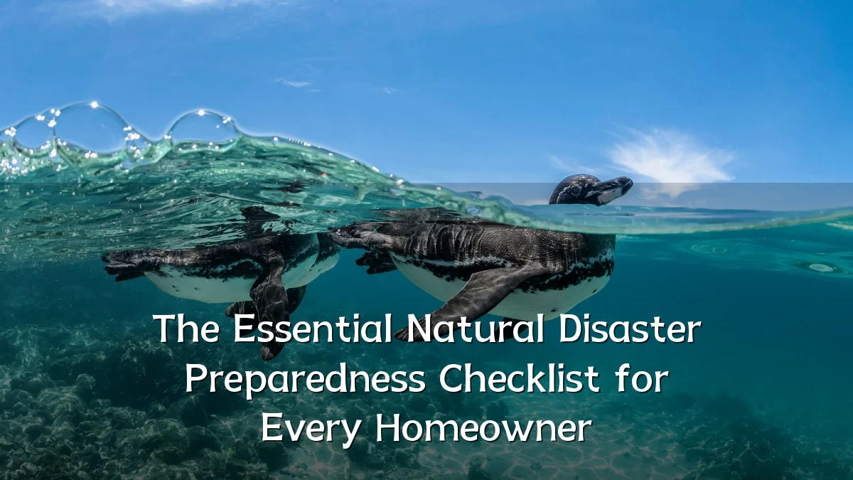The Essential Natural Disaster Preparedness Checklist for Every Homeowner