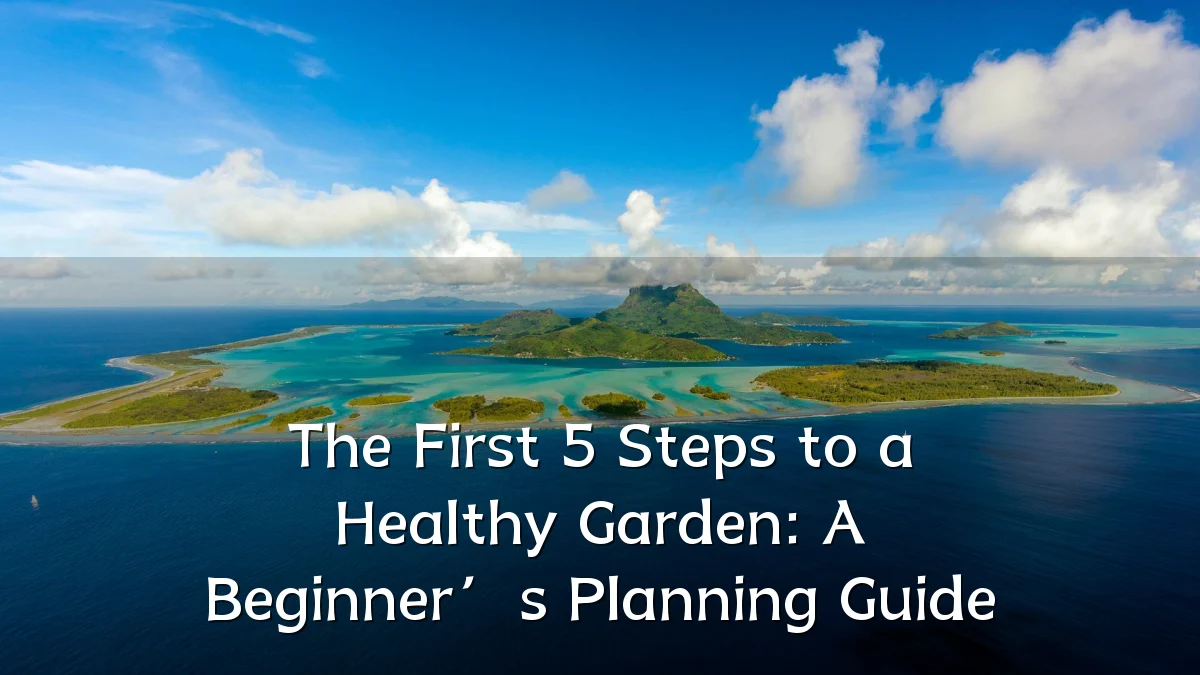 The First 5 Steps to a Healthy Garden: A Beginner’s Planning Guide