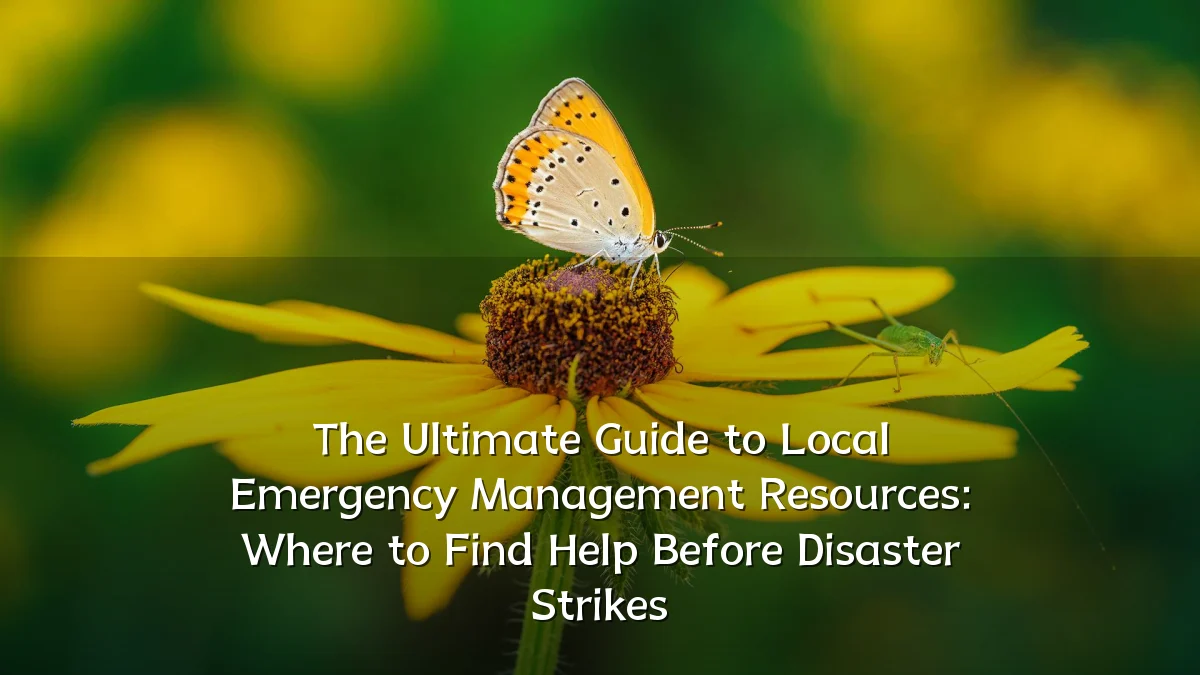 The Ultimate Guide to Local Emergency Management Resources: Where to Find Help Before Disaster Strikes