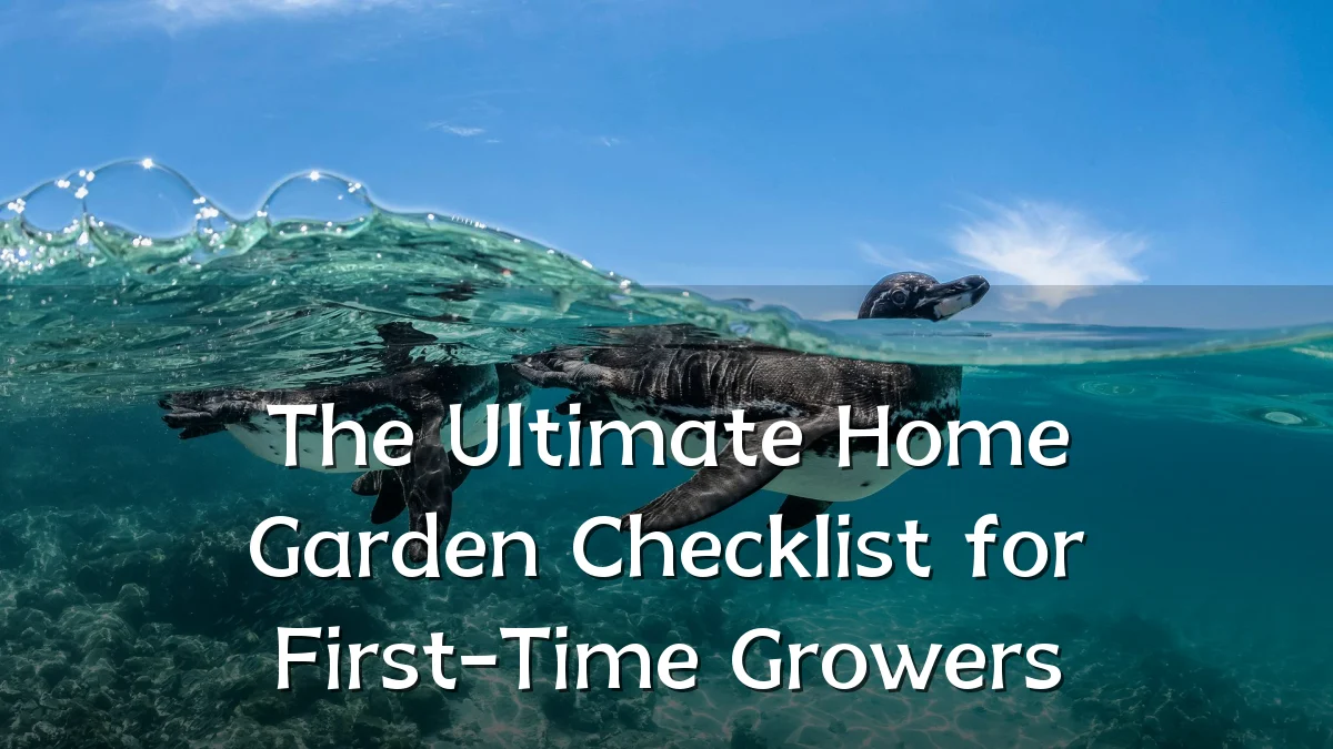 The Ultimate Home Garden Checklist for First-Time Growers