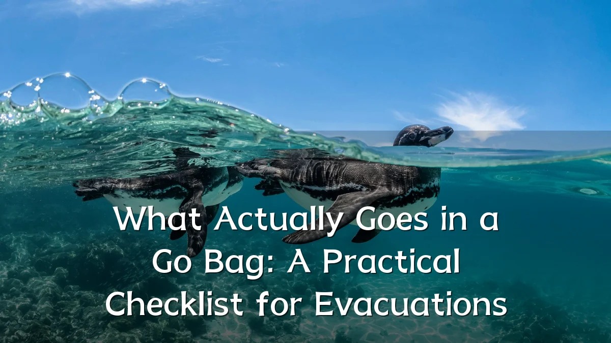 What Actually Goes in a Go Bag: A Practical Checklist for Evacuations