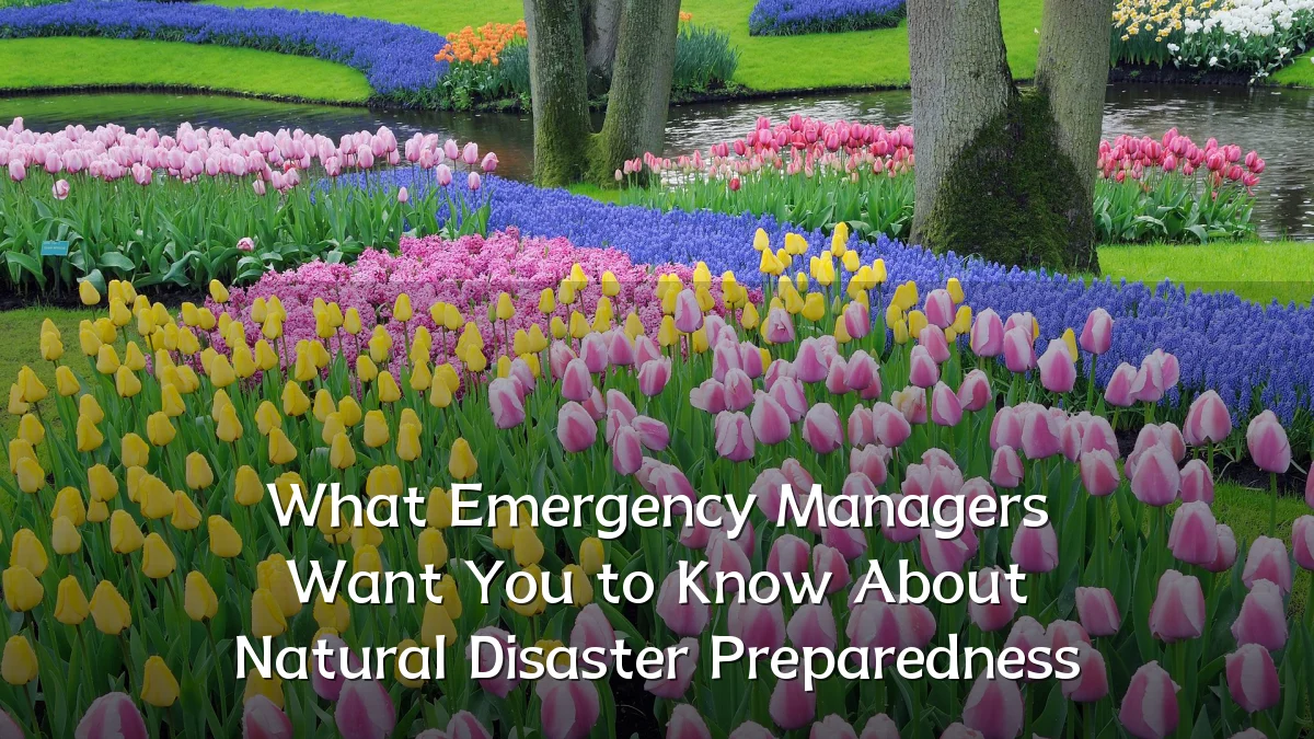 What Emergency Managers Want You to Know About Natural Disaster Preparedness