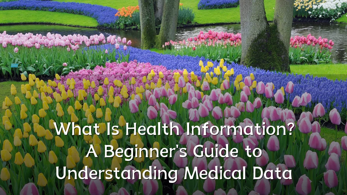 What Is Health Information? A Beginner's Guide to Understanding Medical Data