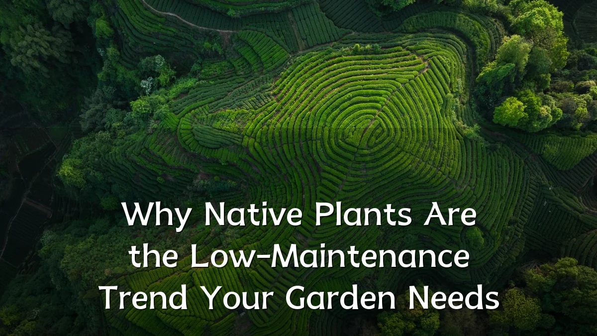 Why Native Plants Are the Low-Maintenance Trend Your Garden Needs