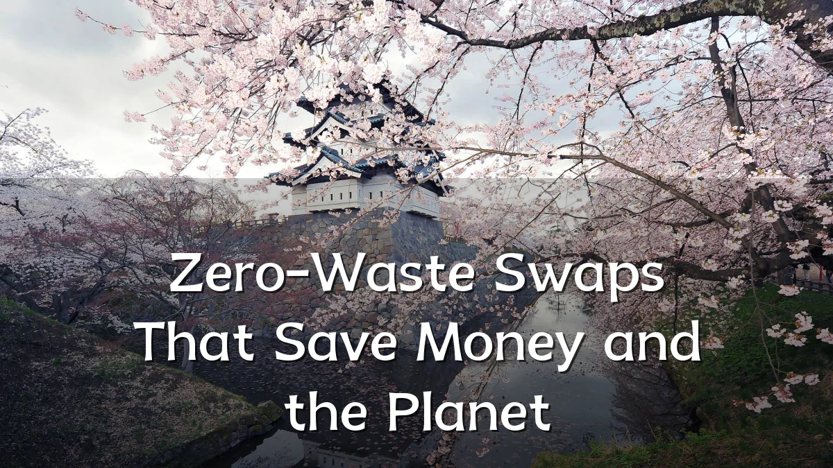 Zero-Waste Swaps That Save Money and the Planet
